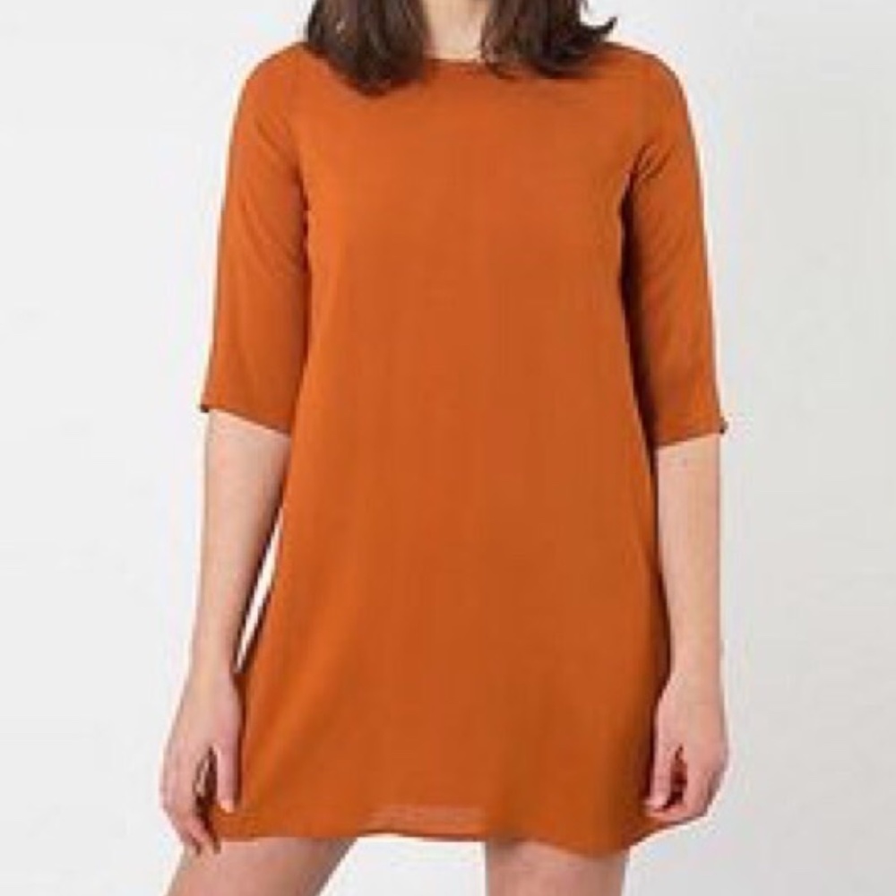 American Apparel Rayon Tent Dress